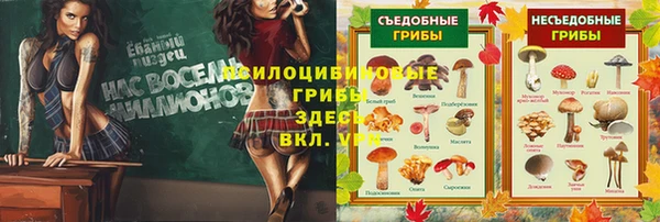 гидра Осташков