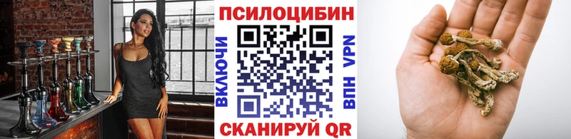 Псилоцибиновые грибы ЛСД  MEGA маркетплейс  Великий Новгород  закладка 