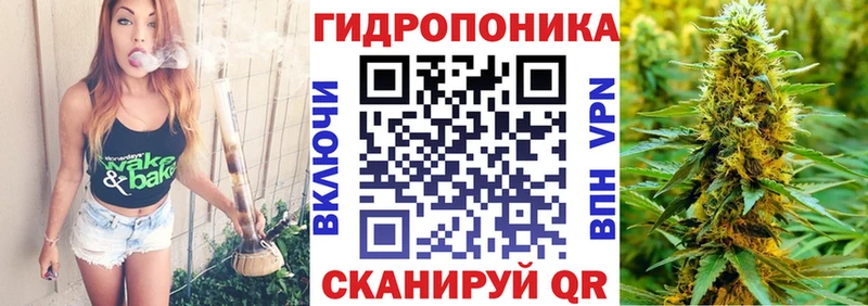 Бошки марихуана SATIVA & INDICA мега ссылка Великий Новгород